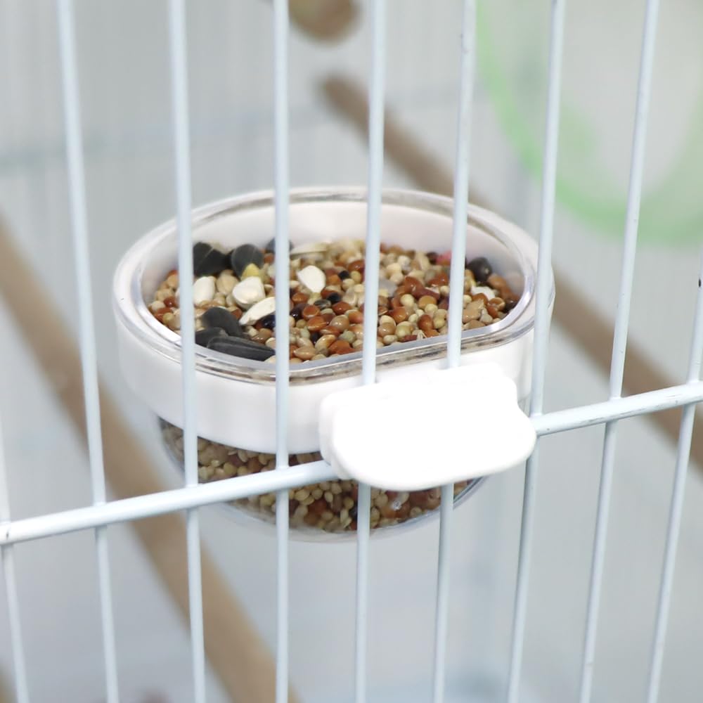 DQITJ cockatiel, parrot, finch-ready feeder supports versatile small-bird use.