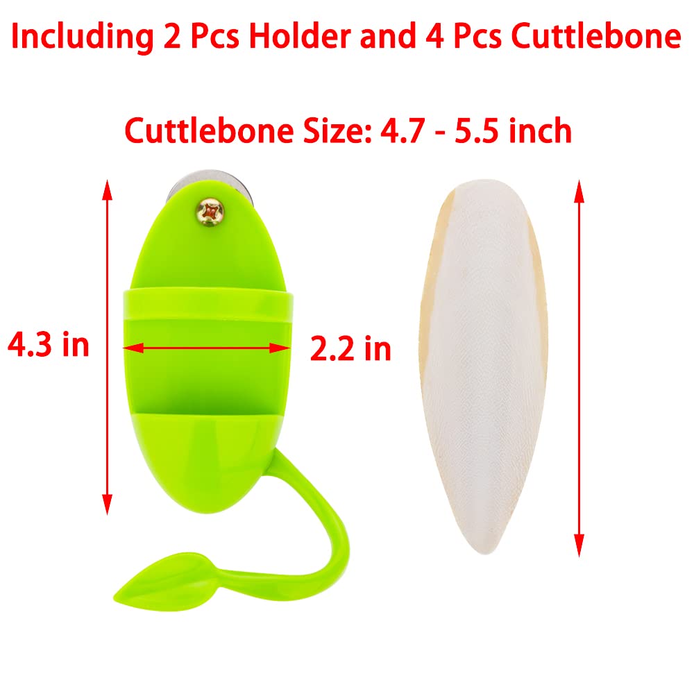 DQITJ cuttlebone holder dimensions show 4.3 inch by 2.2 inch