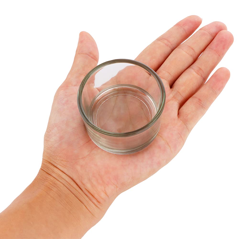 DQITJ durable glass bowls are a thoughtful gift for rodent lovers.