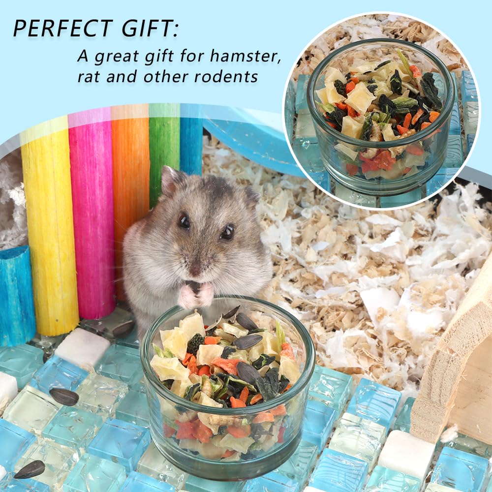 DQITJ glass food and water bowl for small pets supports dual use.