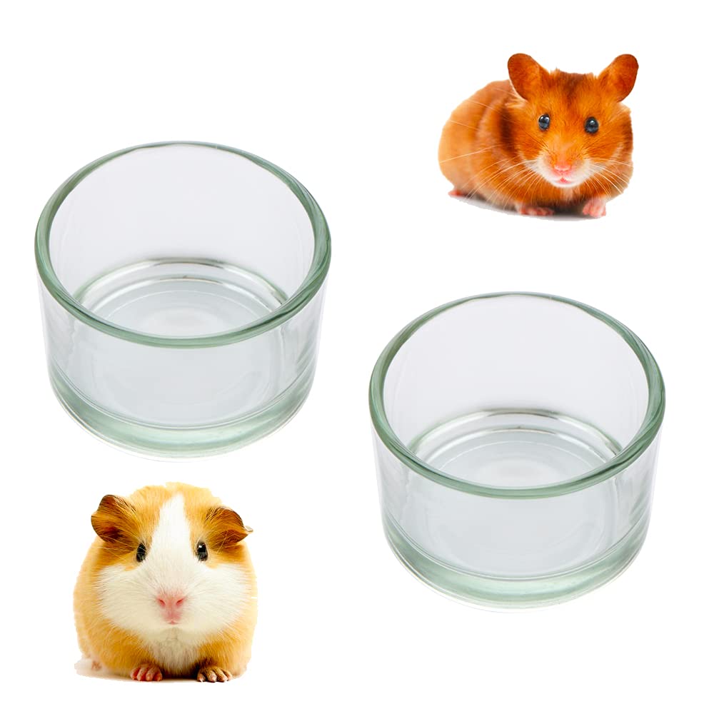 DQITJ hamster glass bowls with anti-turning base stay steady during playtime.