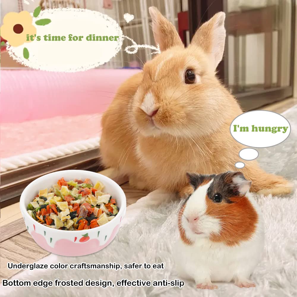 DQITJ hamster ceramic bowl pink for water and snacks.