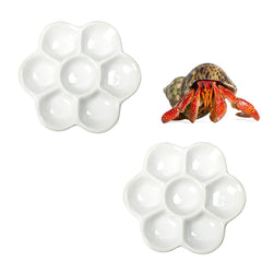 DQITJ hermit crab dish layout demonstrates multi-compartment design for easy foraging.