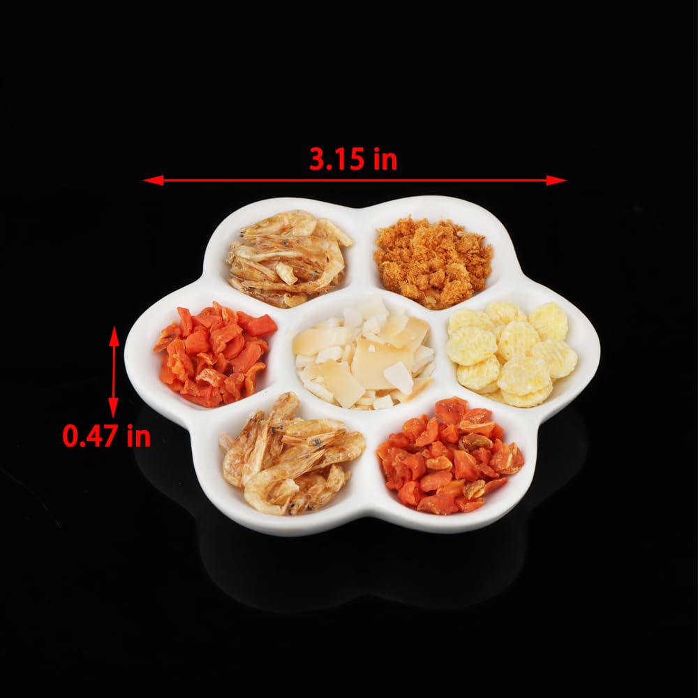 DQITJ hermit crab dish makes a thoughtful gift for pet owners.