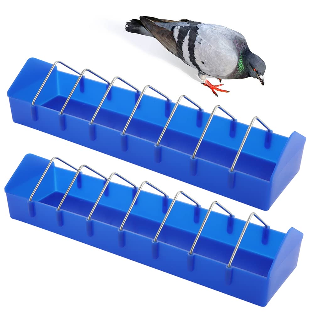 DQITJ large pigeon feeder front view showing sturdy design for shared feeding