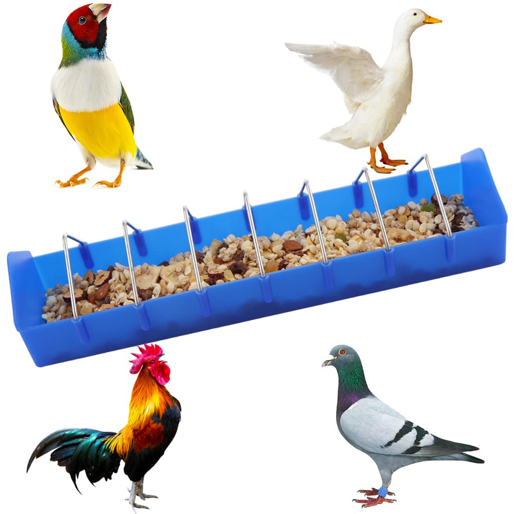 DQITJ large pigeon feeder side view highlighting durable materials for outdoor use