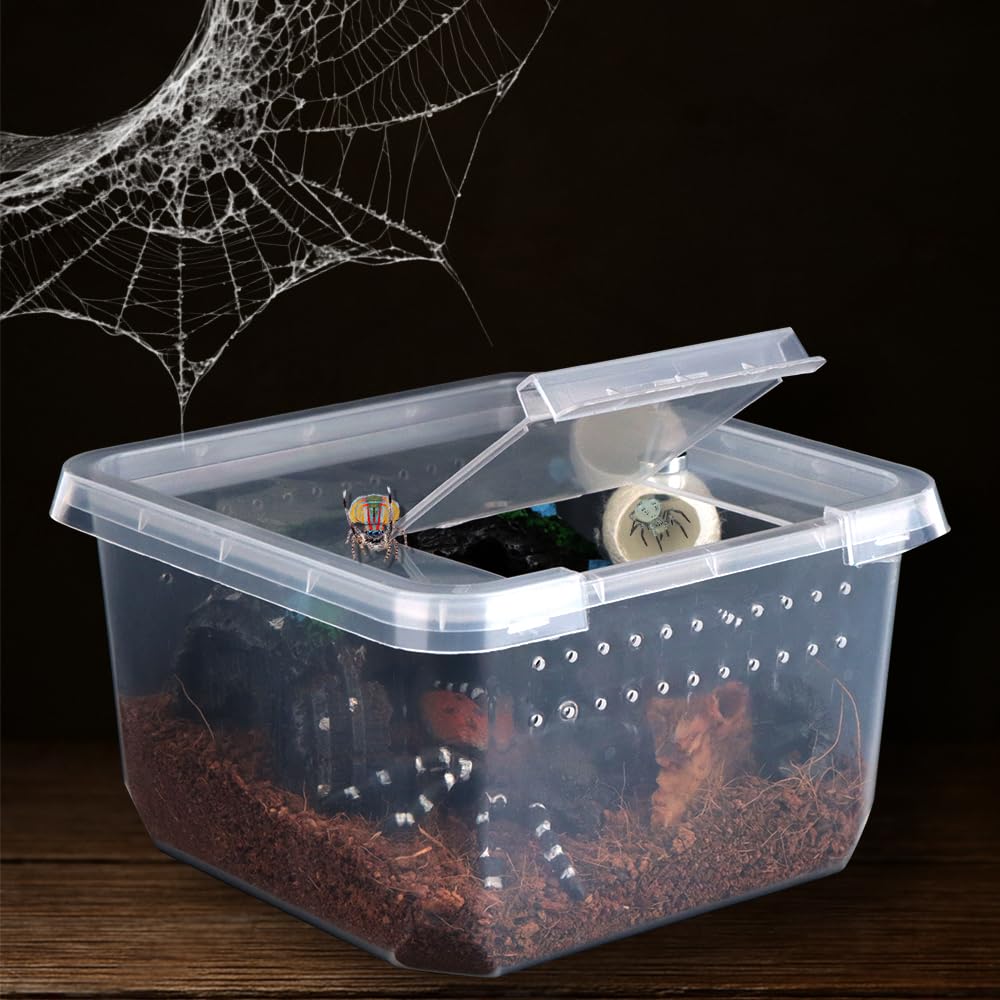 DQITJ magnetic hides demonstrate natural silk cocoons as safe spider retreats