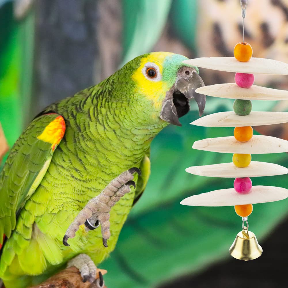 DQITJ Natural Cuttlebone Material—calcium-rich chew for daily bird enrichment.