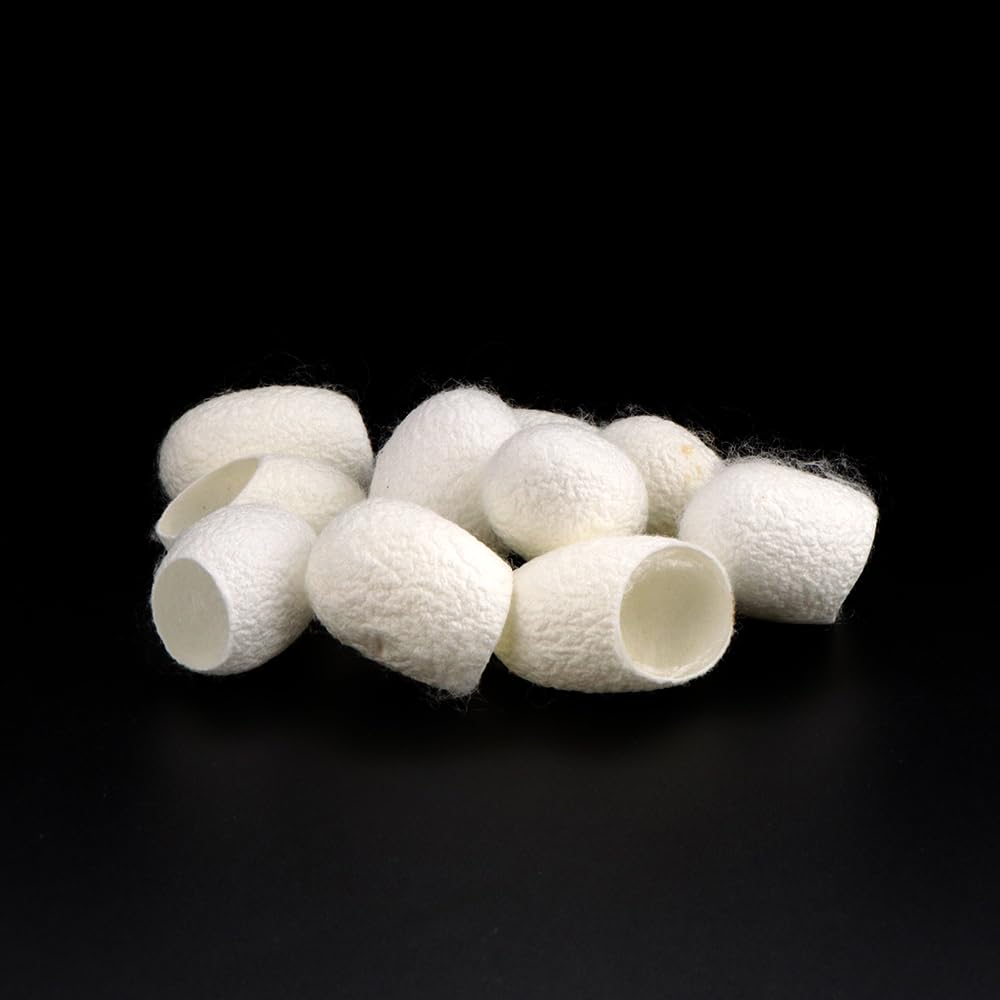 DQITJ natural silk cocoons close-up showing sturdy, durable habitat material