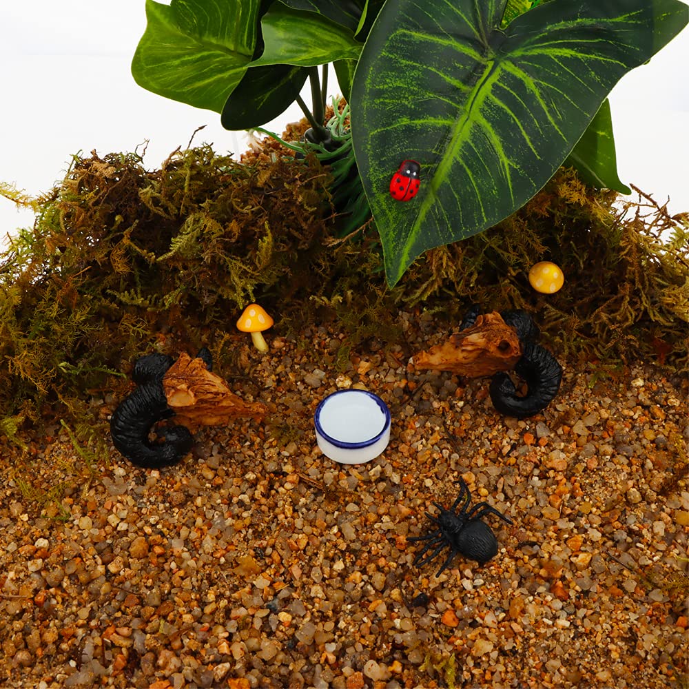 DQITJ non-toxic ceramic dish for tiny reptiles offers easy cleaning and stability
