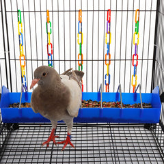 DQITJ pigeon feeder 8-slot design enables multiple birds to eat simultaneously