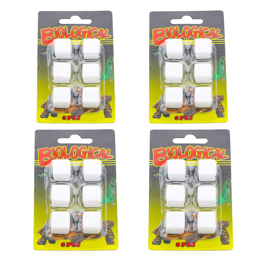 DQITJ reptile calcium stone 24-pack ready for easy, natural mineral intake.