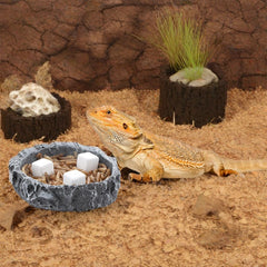 DQITJ reptile calcium stone in bowl demonstrates direct consumption.