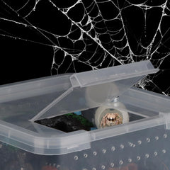 DQITJ silk cocoons hides with magnets enabling flexible placement in the breeding box