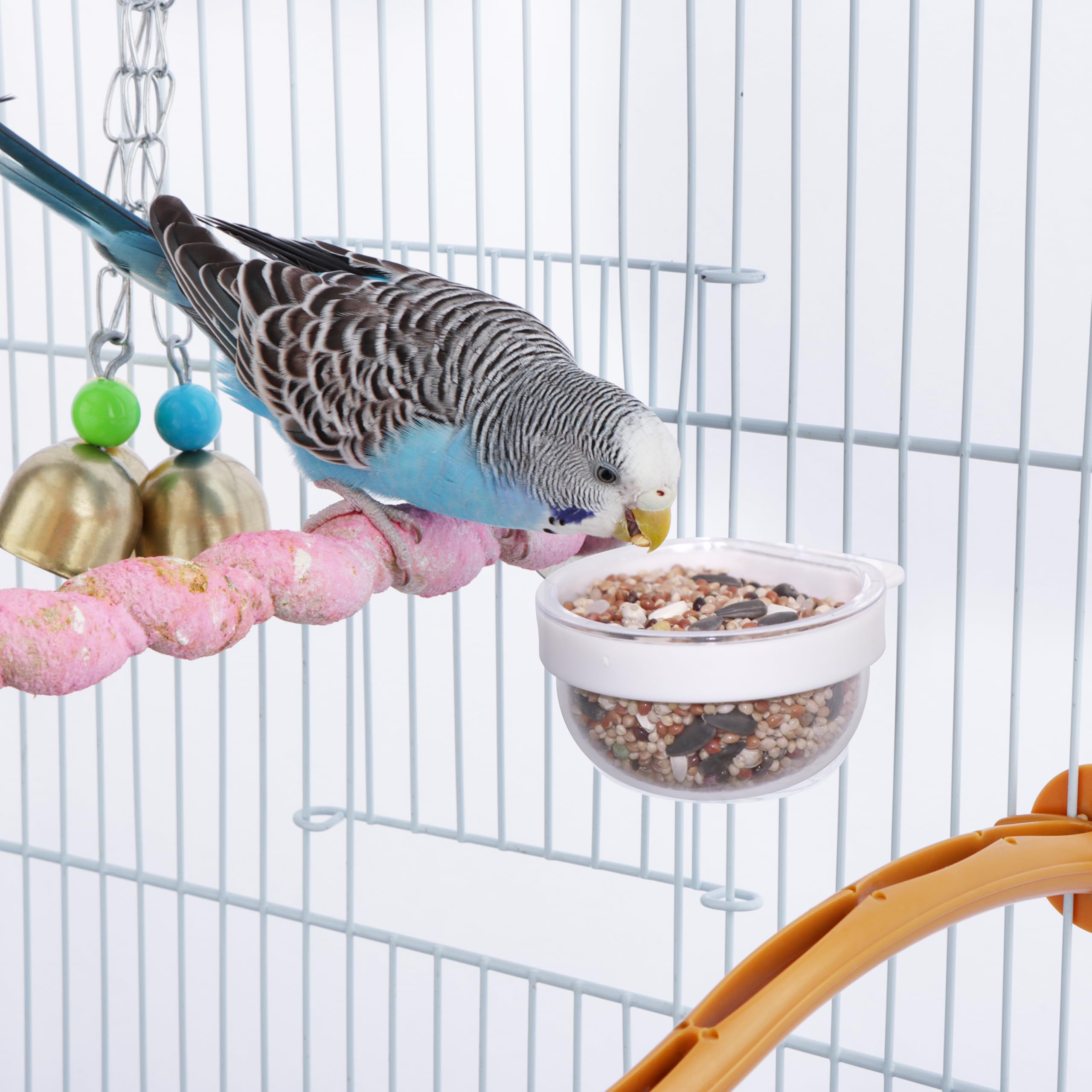 DQITJ small bird feeder in cage demonstrates secure hanging on various cage bars.