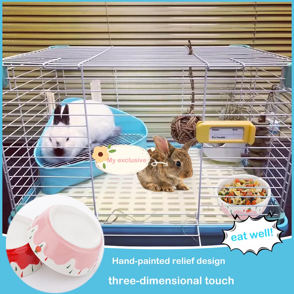 DQITJ small-pet bowl multi-use for water, dry foods.
