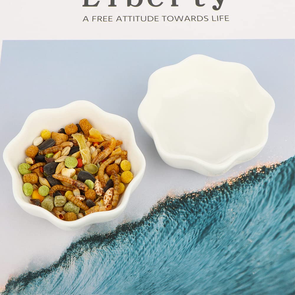DQITJ small-pets dry-food use shown with clean white ceramic bowl.