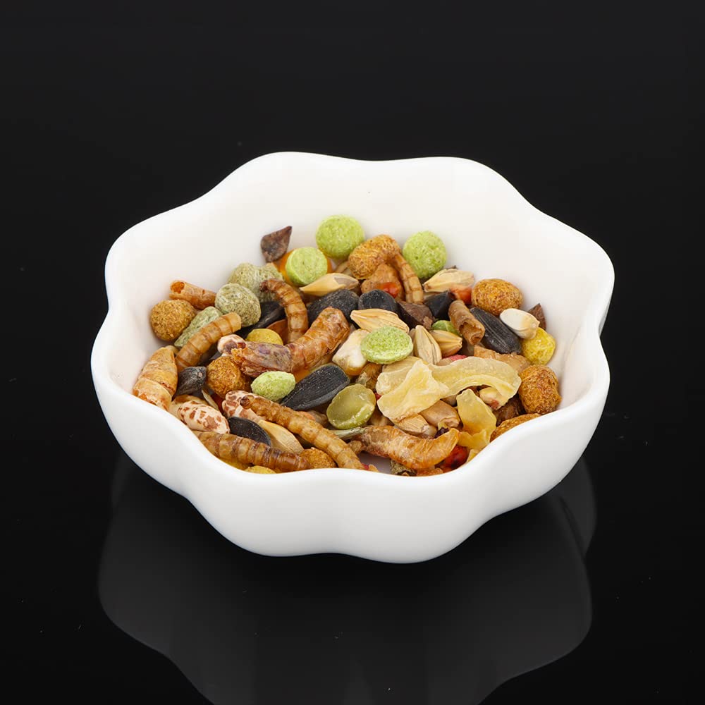 DQITJ water-dish usage in a compact, spill-resistant design for tiny companions.
