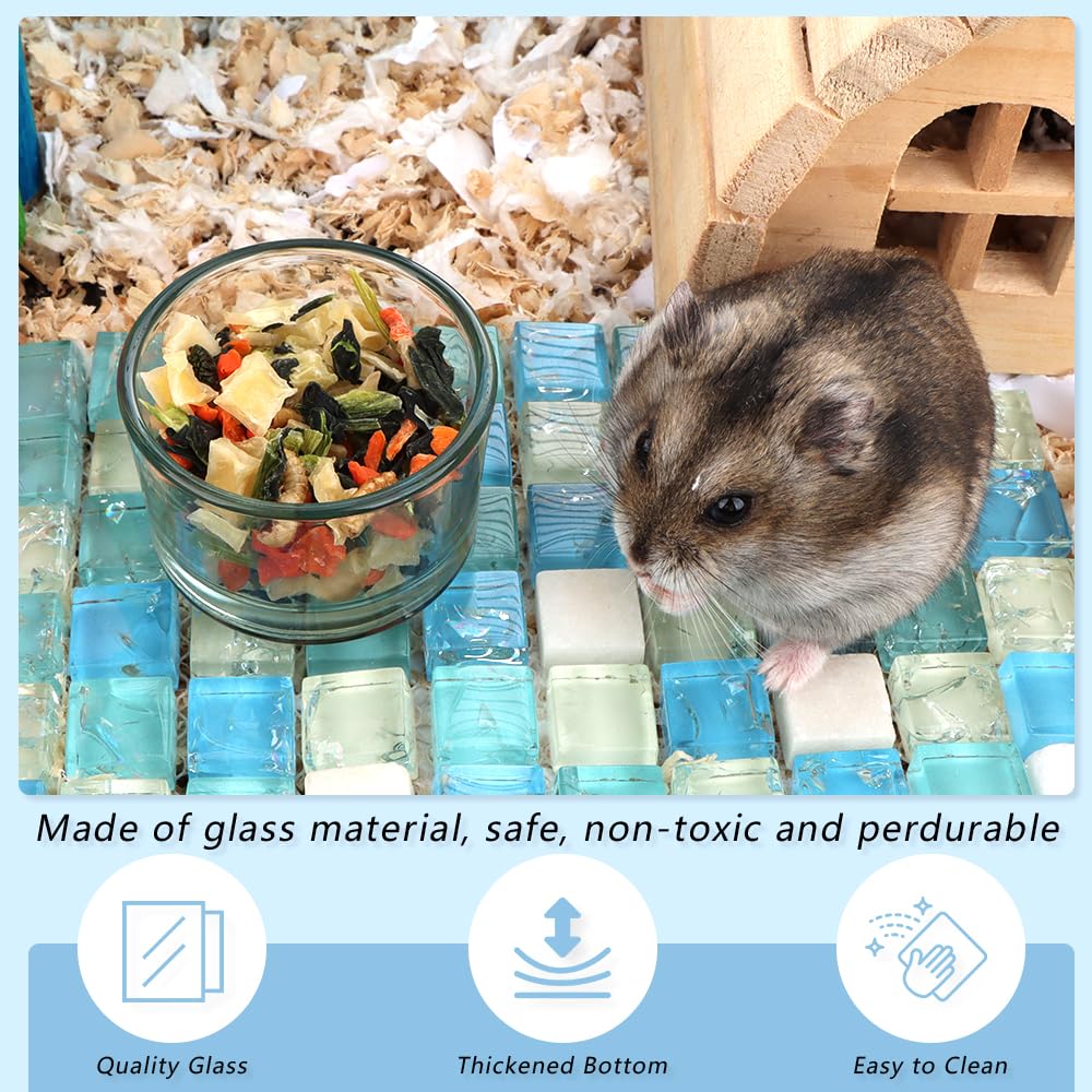 DQITJ transparent glass hamster bowls provide easy content monitoring.