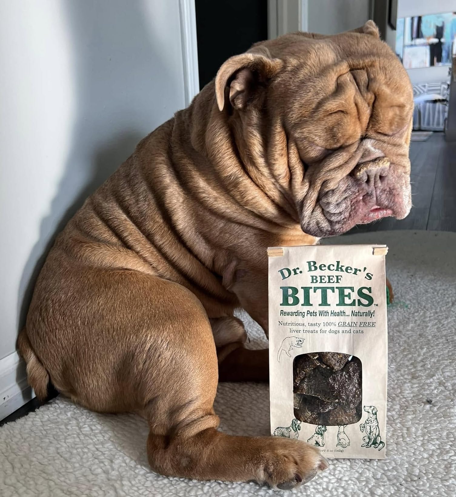 Dr. Becker's Original Beef Bites cat-friendly option for feline rewards.