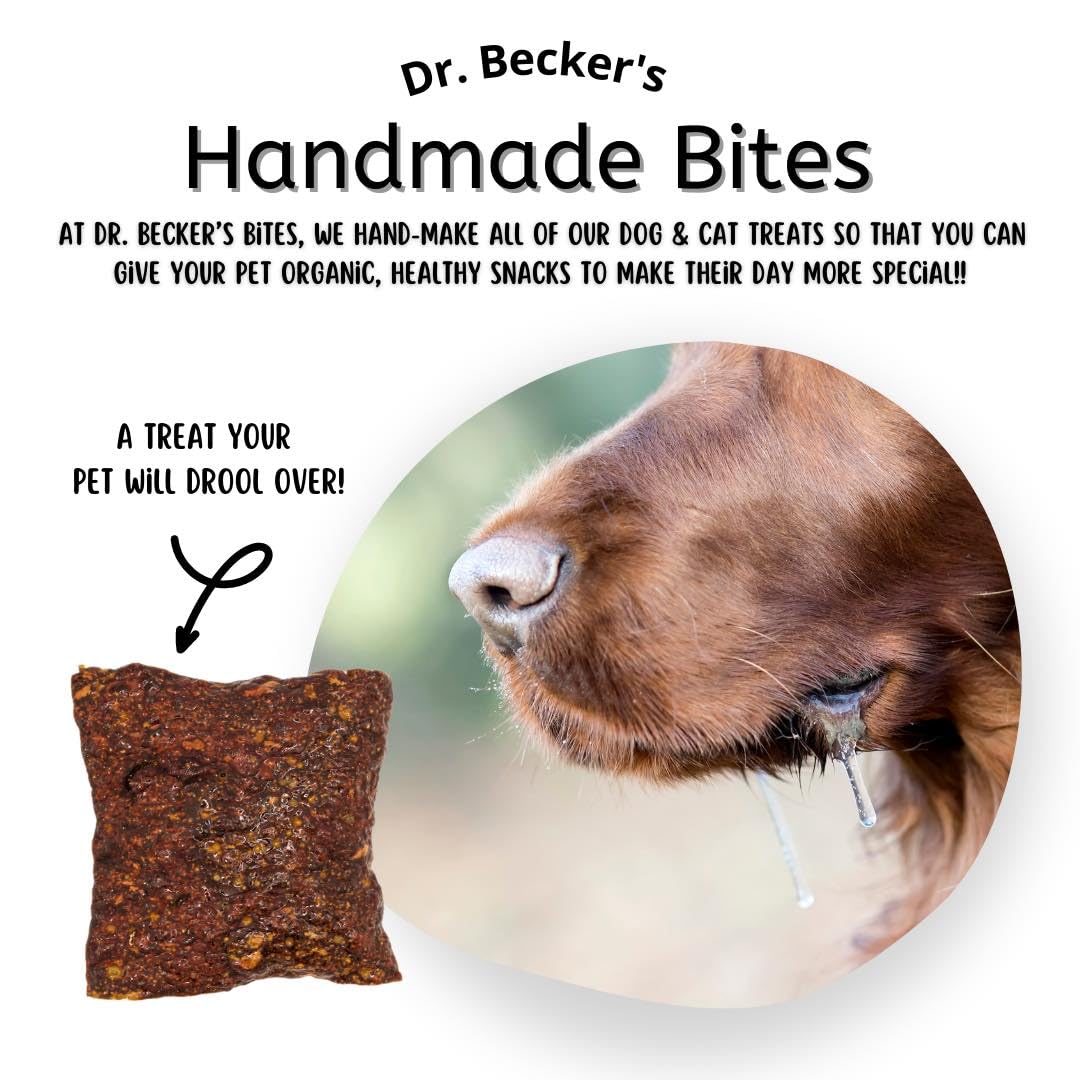 Beef bites chip texture closeup—gentle dental-friendly crunch.