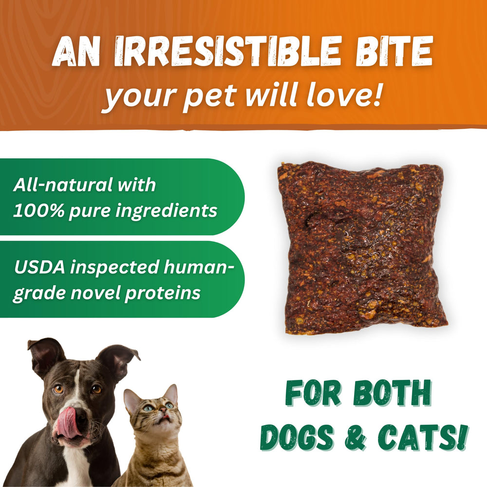 Dr. Becker's Original Beef Bites dental-friendly texture shown for easy chewing.