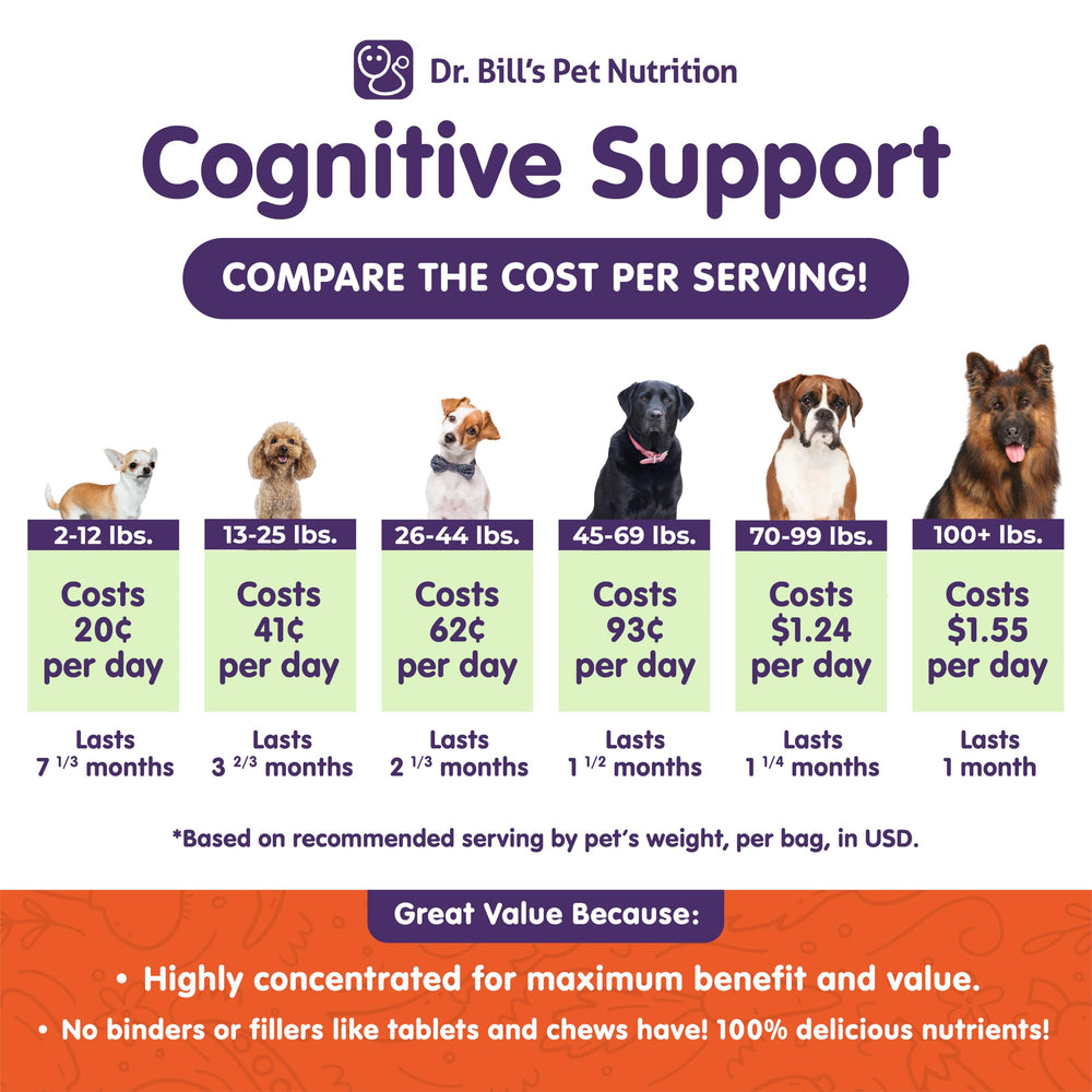 Dr. Bill’s canine cognitive support capsules close-up for memory support