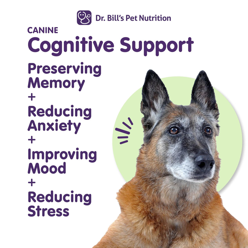 Dr. Bill’s canine cognitive support gingko biloba close-up for focus