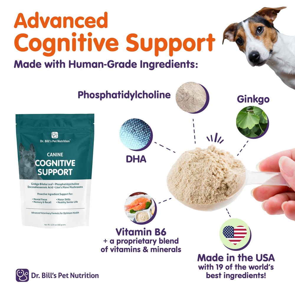 Dr. Bill’s canine cognitive support L-glutamine scoop ready to mix