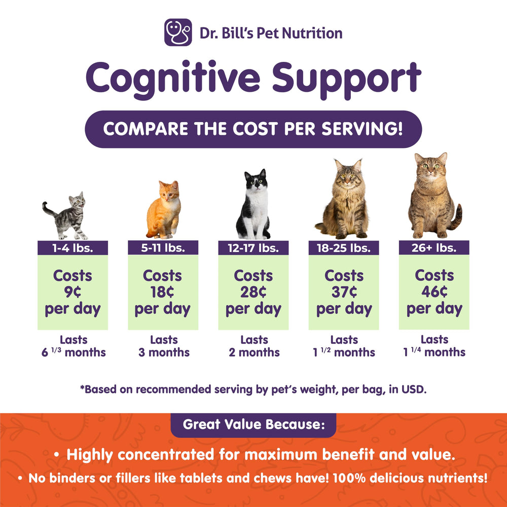 Dr. Bill's Feline Cognitive Support capsule demonstrates nutritionally focused brain support