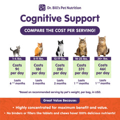 Dr. Bill's Feline Cognitive Support capsule demonstrates nutritionally focused brain support