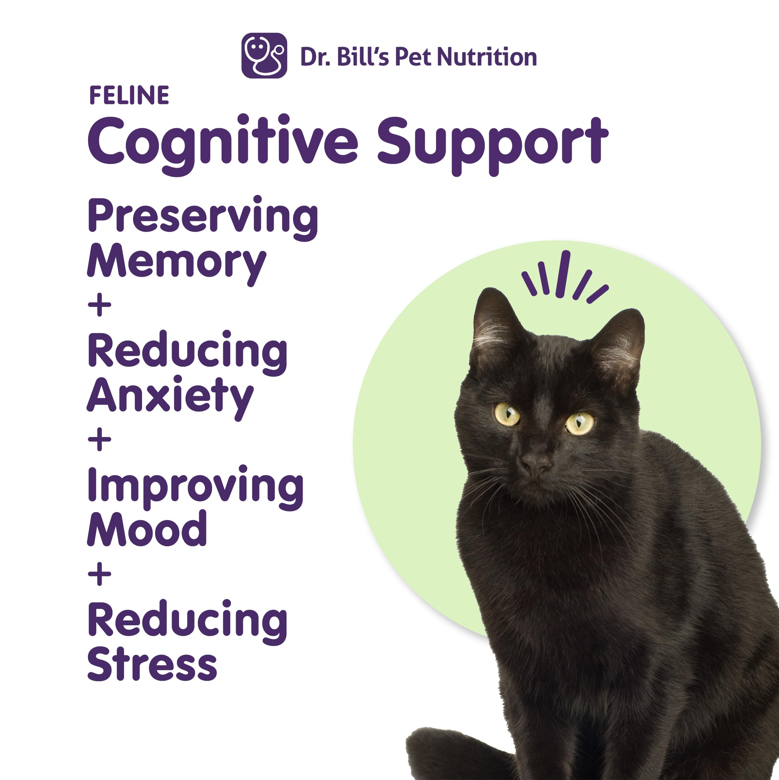Dr. Bill's Feline Cognitive Support for cat memory and mood support