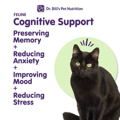 Dr. Bill's Feline Cognitive Support for cat memory and mood support