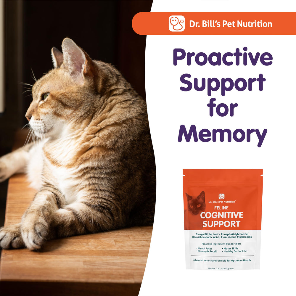 Dr. Bill's Feline Cognitive Support suitable for households with multiple cats
