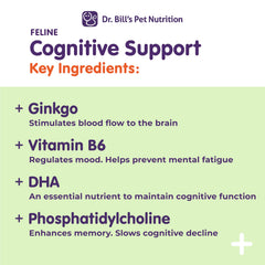 Dr. Bill's Feline Cognitive Support with gingko biloba aids cognitive comfort