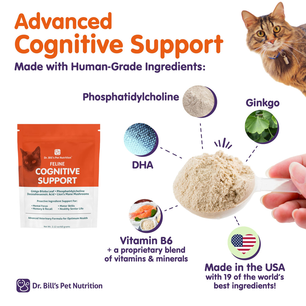 Dr. Bill's Feline Cognitive Support Vet-developed formula supports proactive care