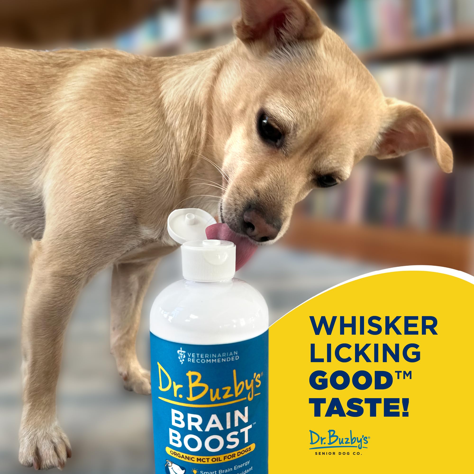 Dog enjoys Brain Boost-coated food for brain health support