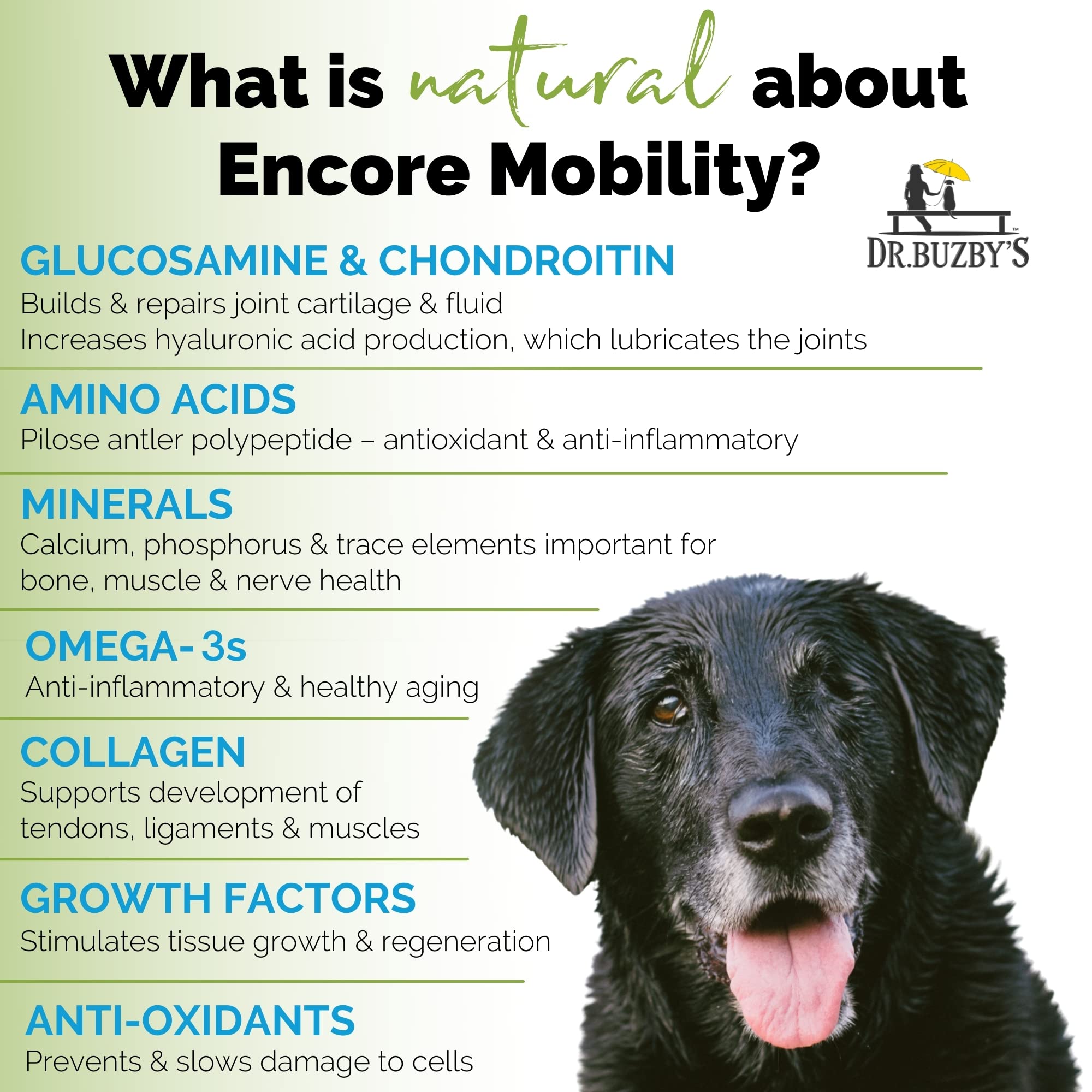 Dr. Buzbys Encore Mobility with green-lipped mussel supports comfortable movement.