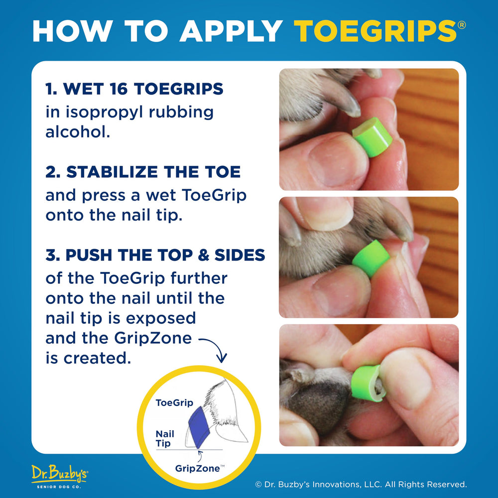 Close-up shows ToeGrips gripping a dog's nail for traction.