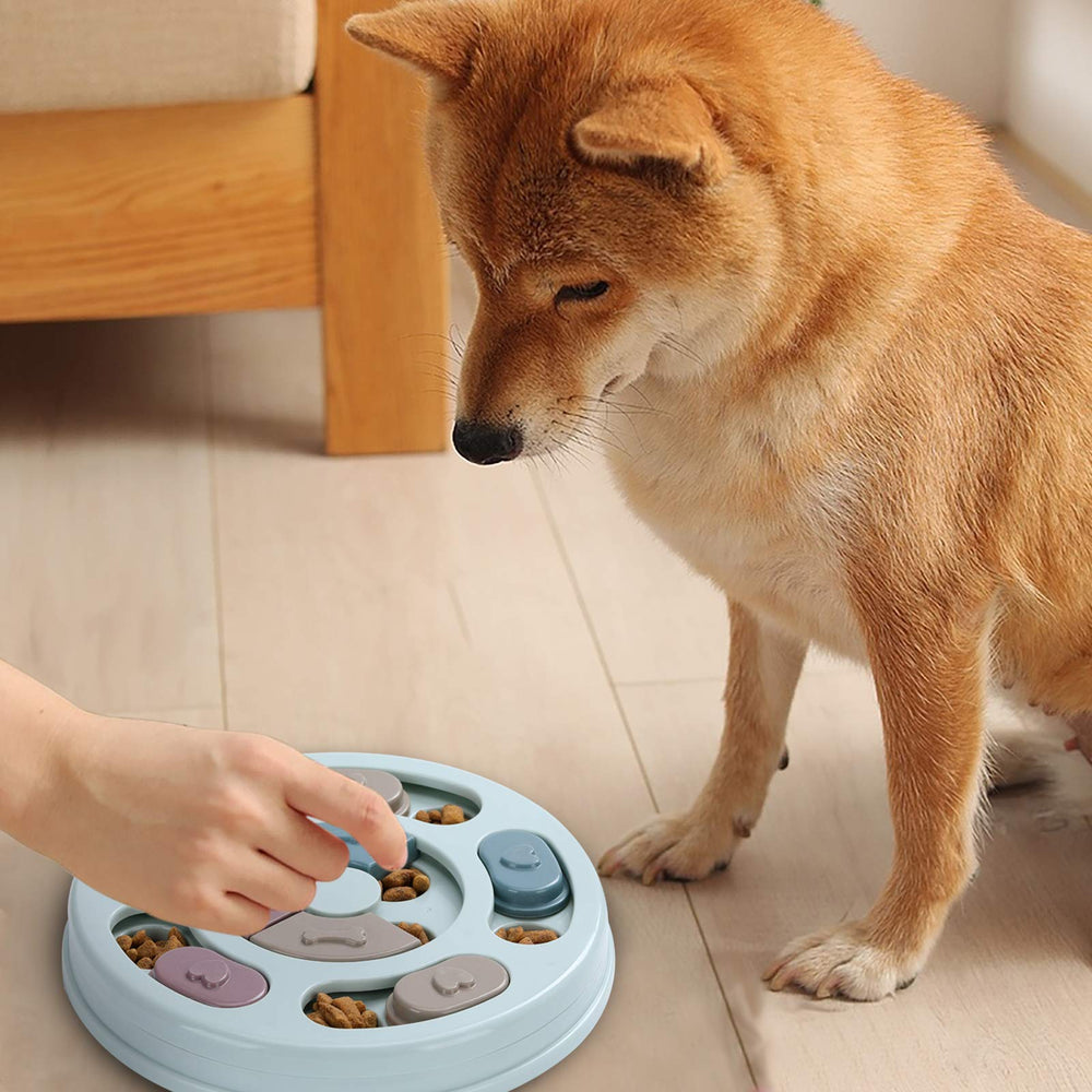 DR CATCH dog puzzle blue filled-bowl image shows feeding reward and enrichment at mealtime