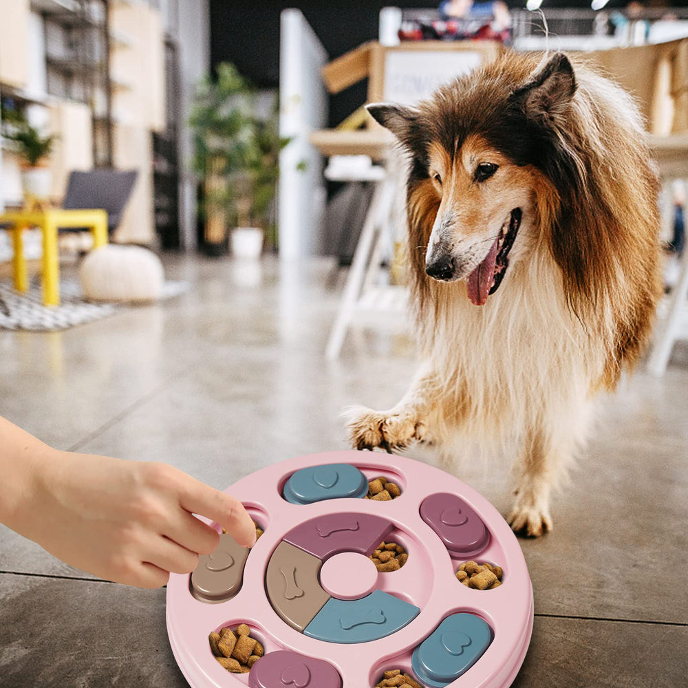 DR CATCH dog puzzles pink playtime use case showing engagement.