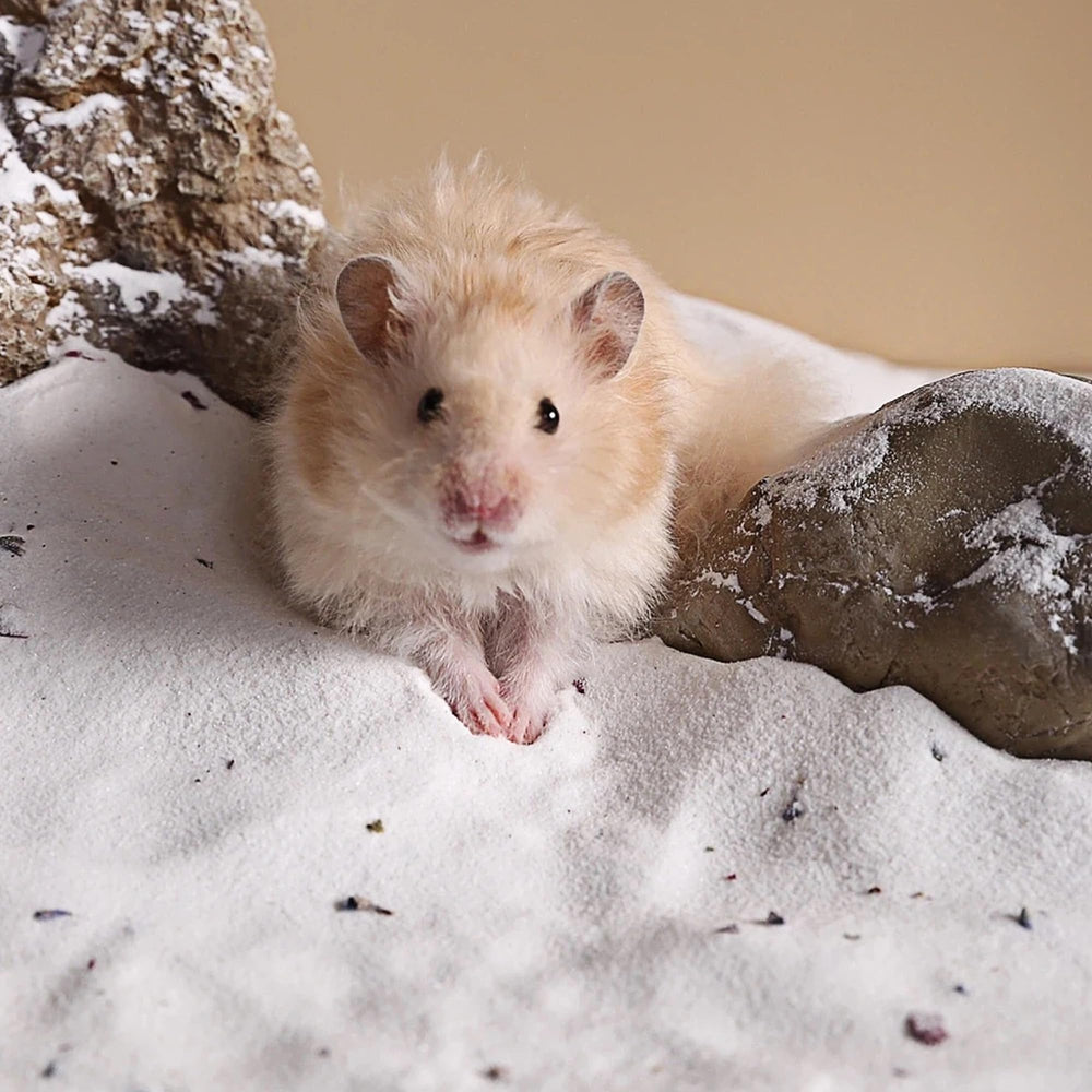 DR.DUDU 6.6lb bag provides steady supply for ongoing play and grooming.
