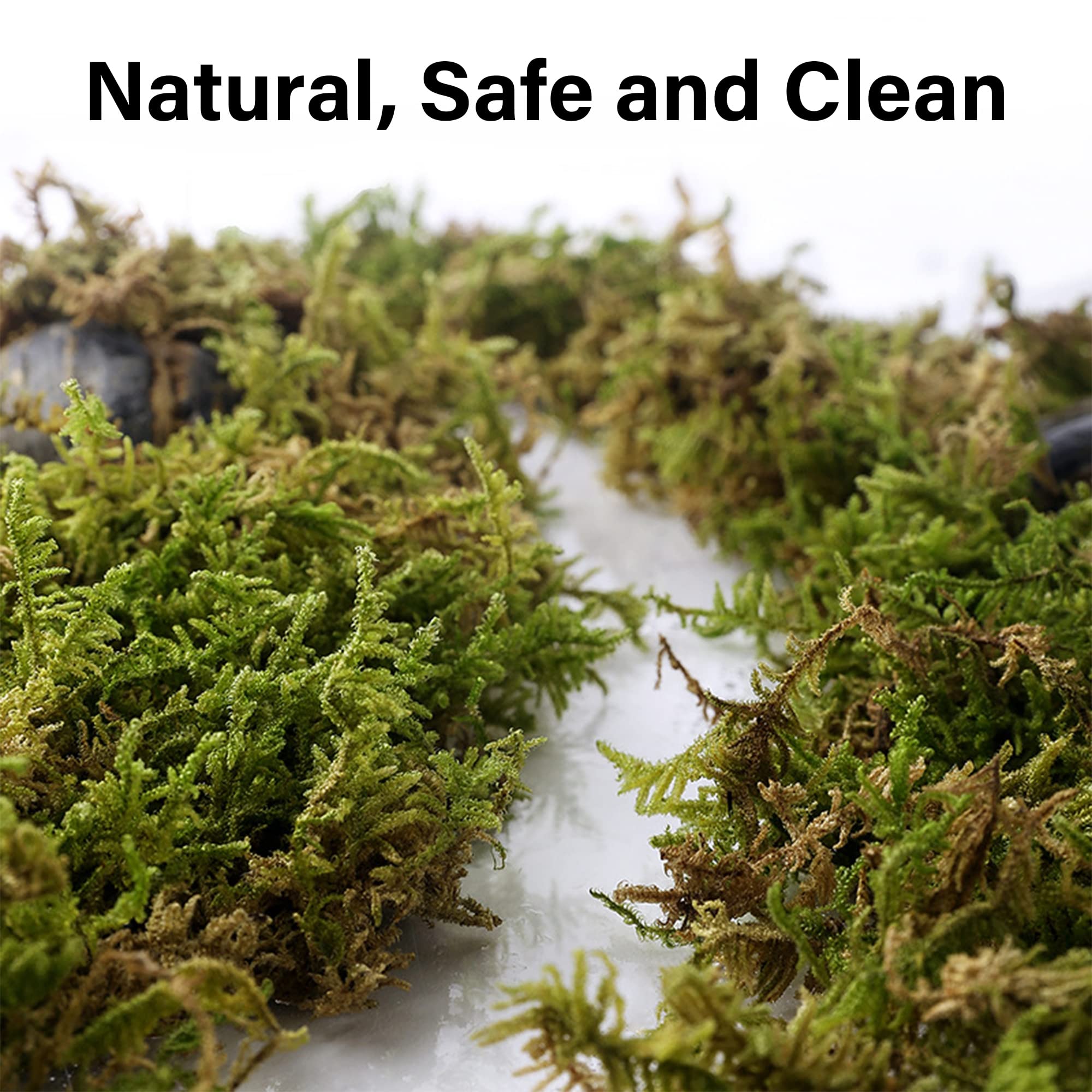 DR.DUDU forest moss nesting setup in hamster cage for cozy nests
