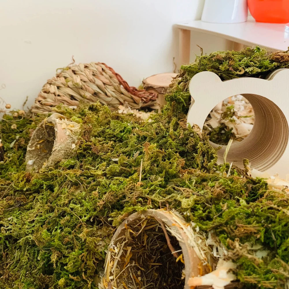 DR.DUDU forest moss packaging and scoop for easy cage decoration