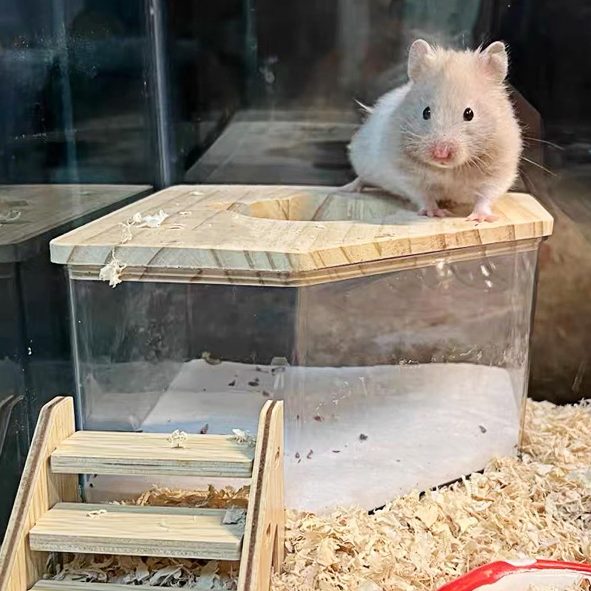 DR.DUDU sand suitable for bathing and toileting