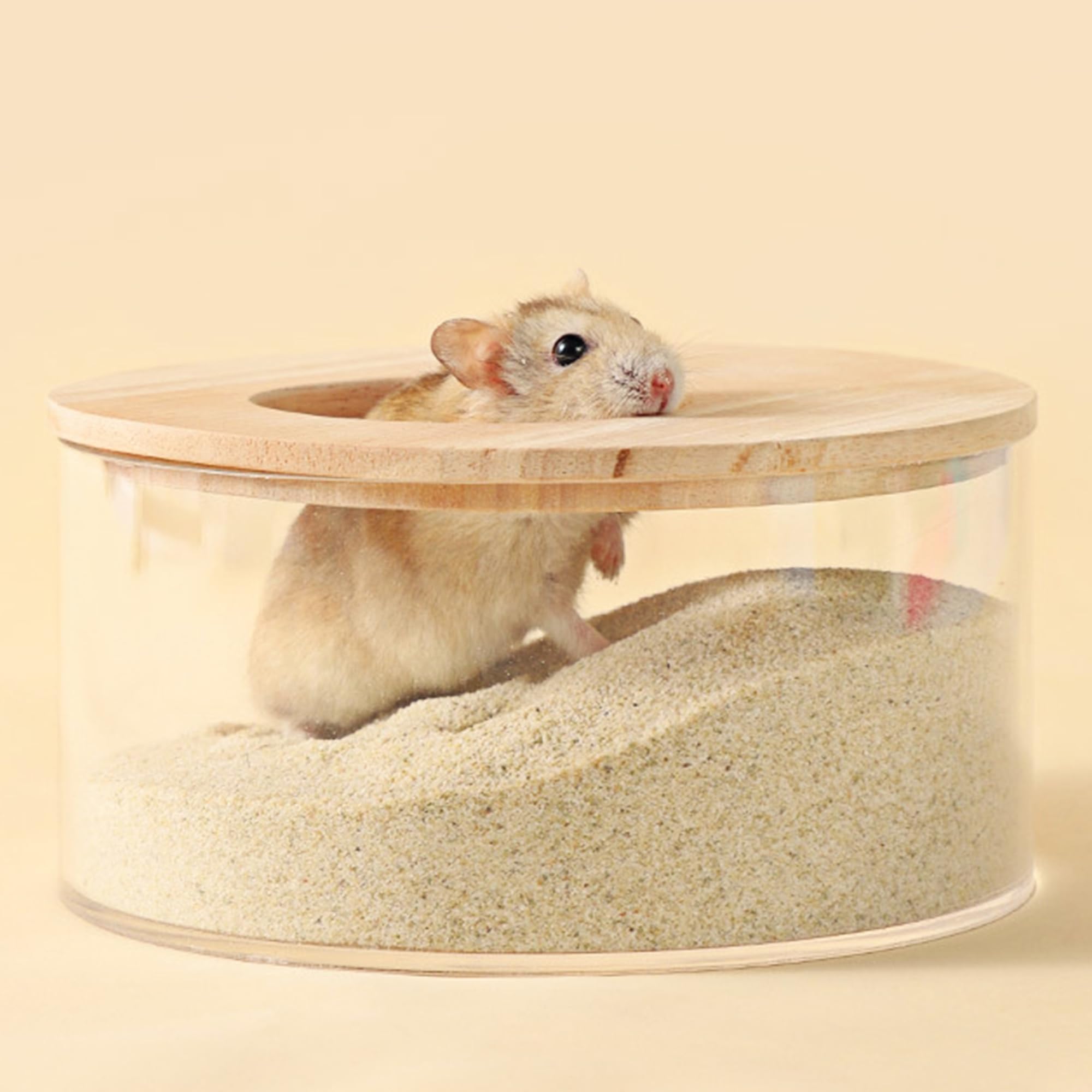 DR.DUDU Hamster Bath Sand odor-control closeup emphasizes fresh enclosure benefits