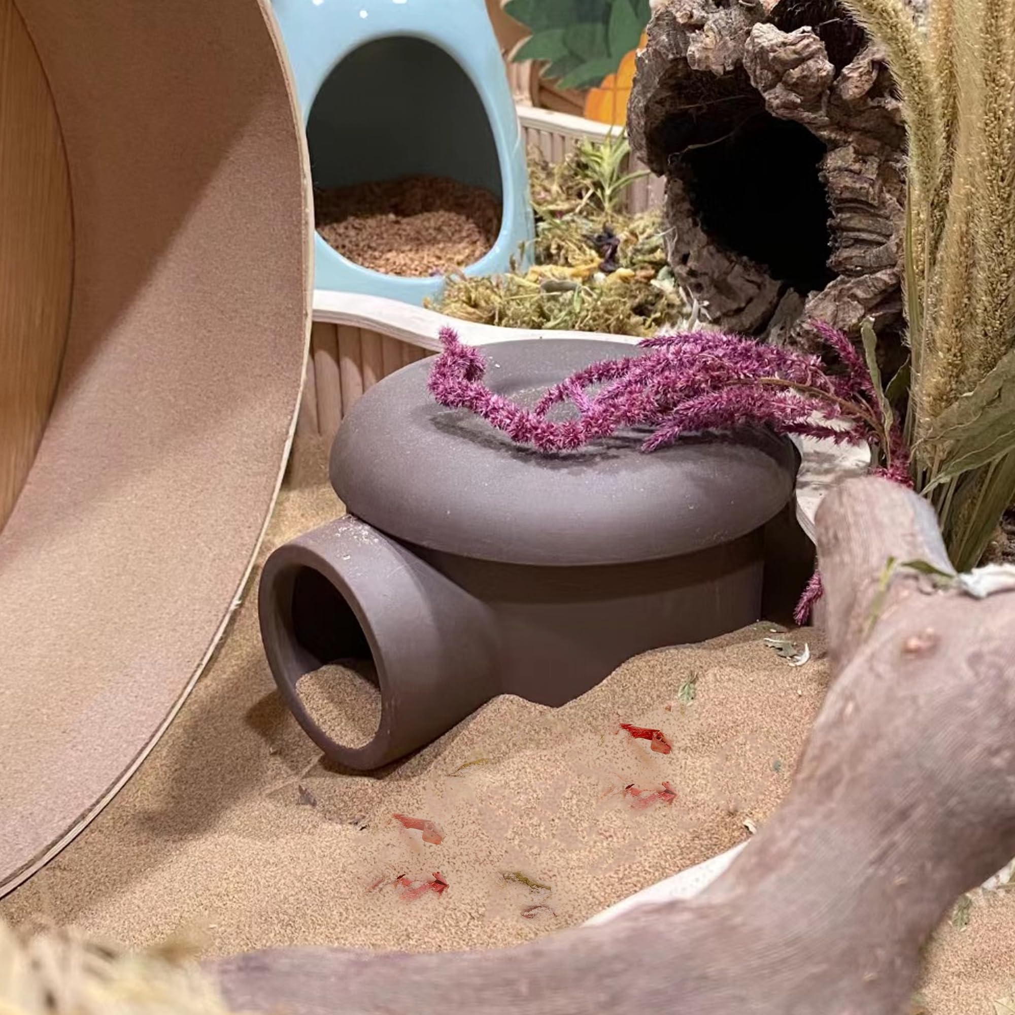 DR.DUDU hamster bath sand toileting-bath scene illustrates dual-use habitat care.