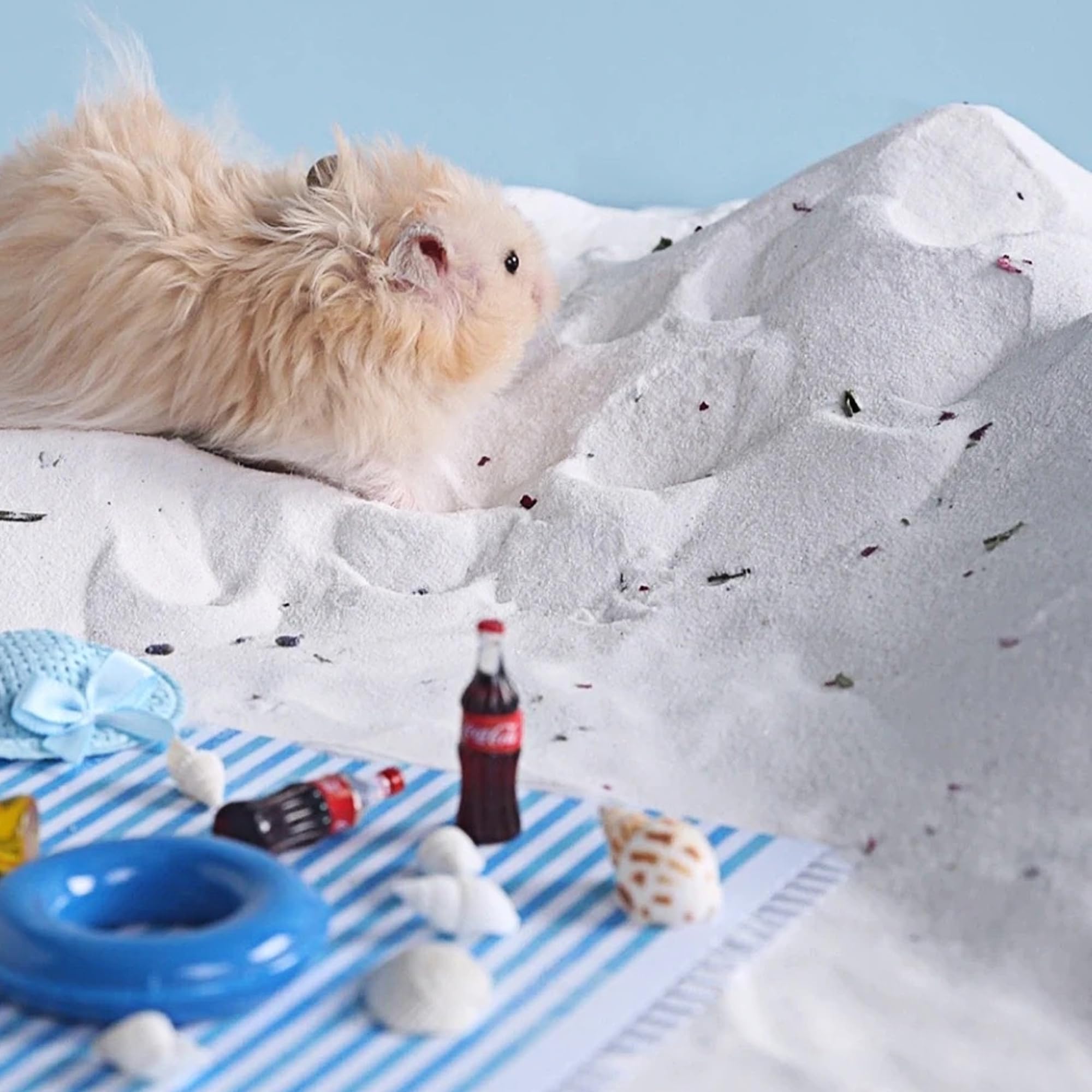 DR.DUDU sand as toilet-absorbent accessory helps maintain a tidy habitat.