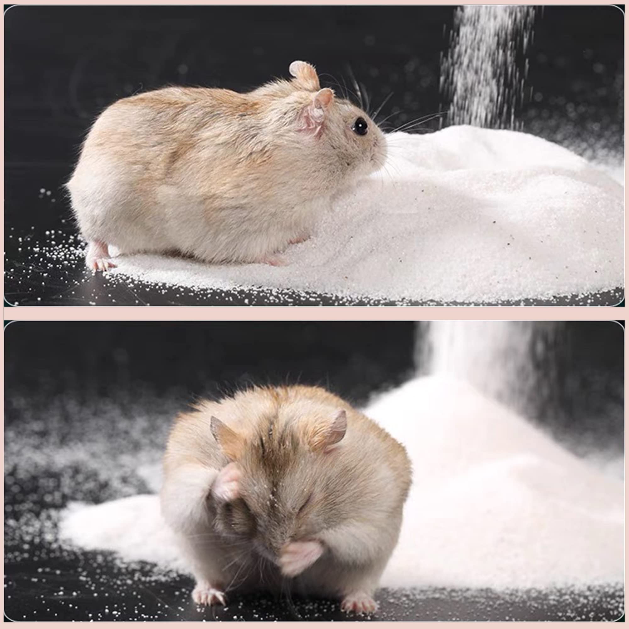 DR.DUDU small pets setup featuring bath sand for hamsters and gerbils