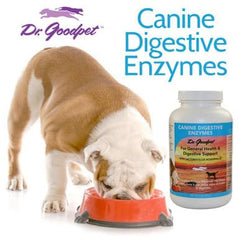 Dr. Goodpet Canine Digestive Enzymes 10X probiotic blend—promotes gut balance.